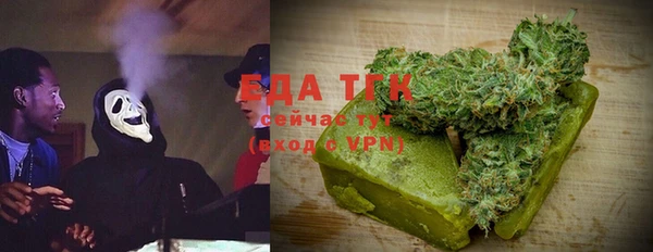 индика Абинск