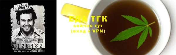 индика Абинск