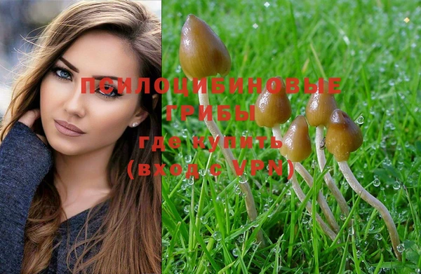 индика Абинск