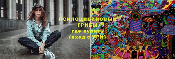 индика Абинск