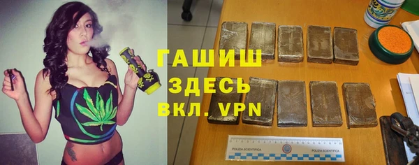 индика Абинск