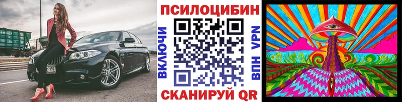 Галлюциногенные грибы Cubensis закладки Адыгейск